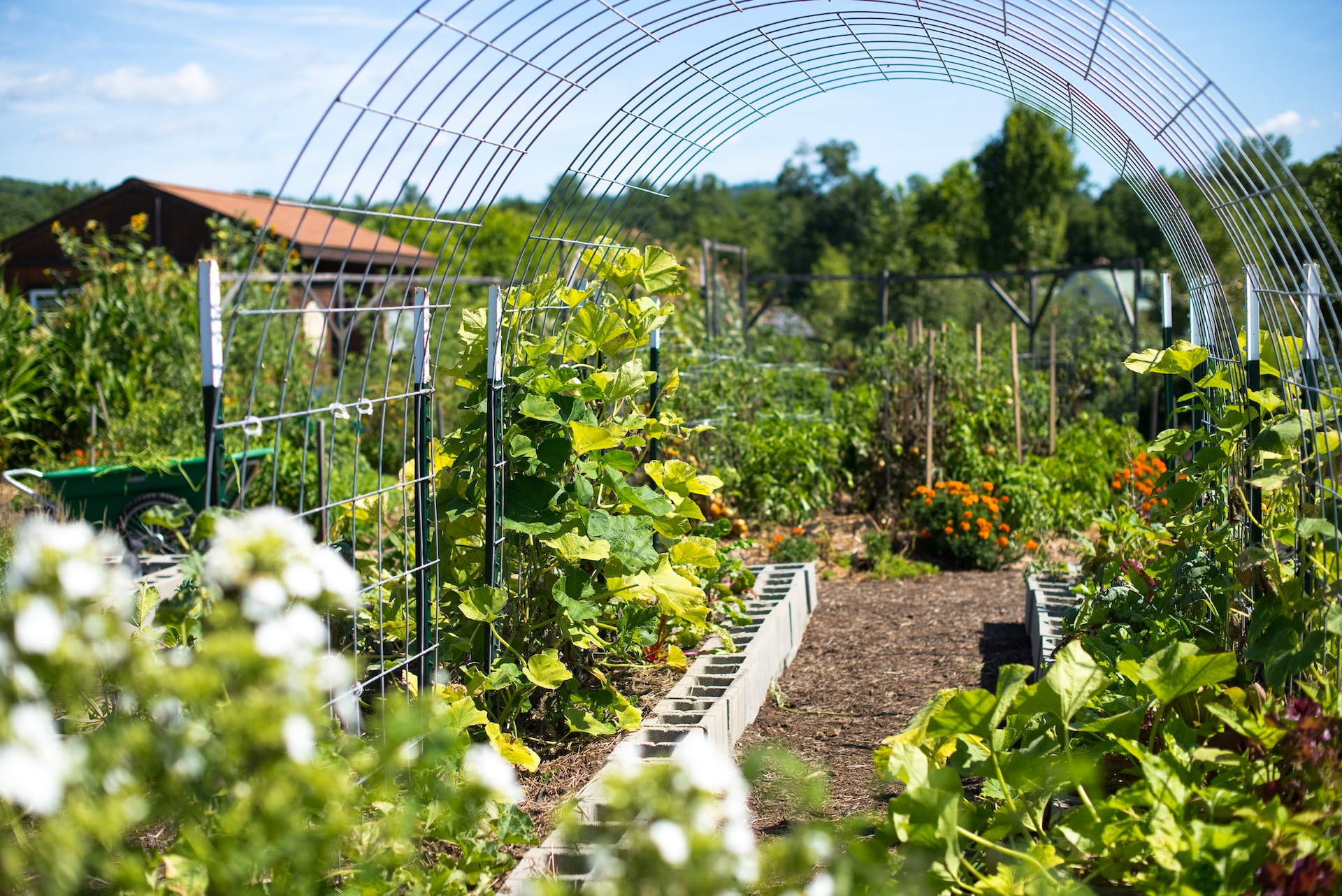 Greenhouse