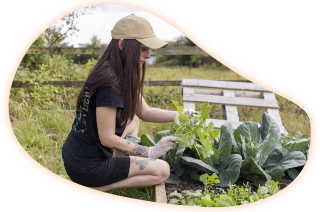 Gardener with long brown hair tends to leafy greens